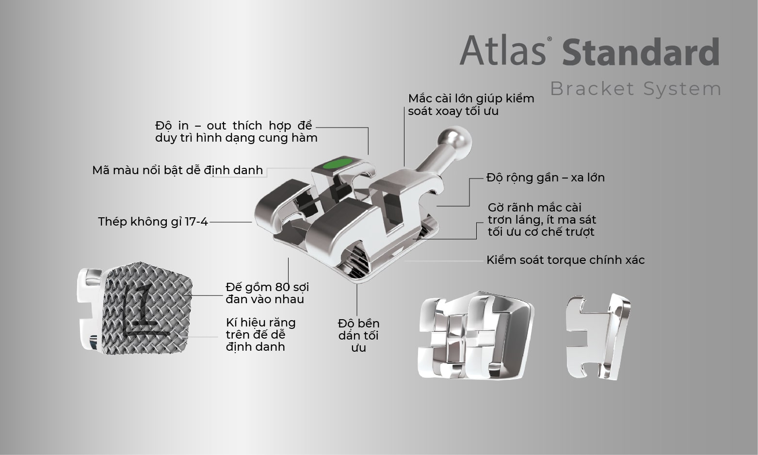 Hệ thống mắc cài kim loại Atlas